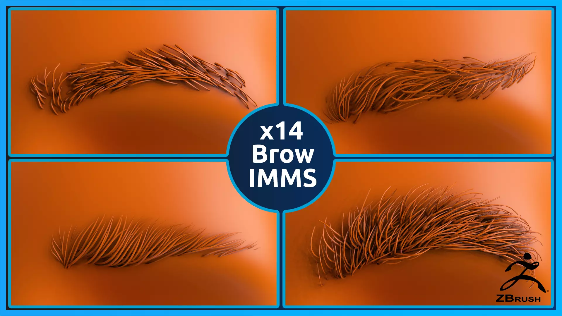 14 Zbrush Eyebrow IMMS 3D model_0