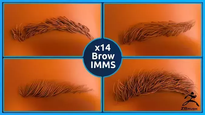 14 Zbrush Eyebrow IMMS