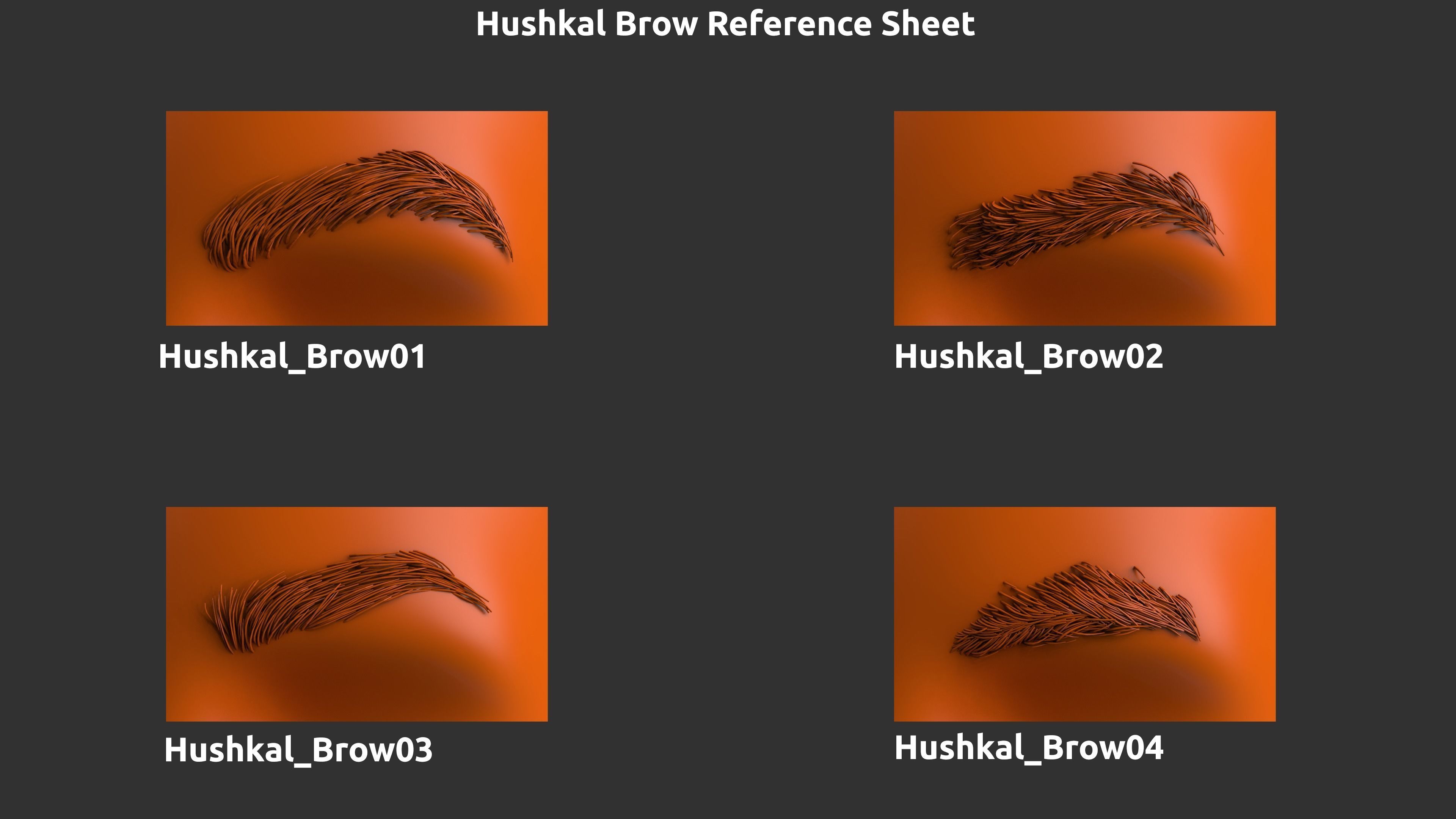 14 Zbrush Eyebrow IMMS 3D model_3