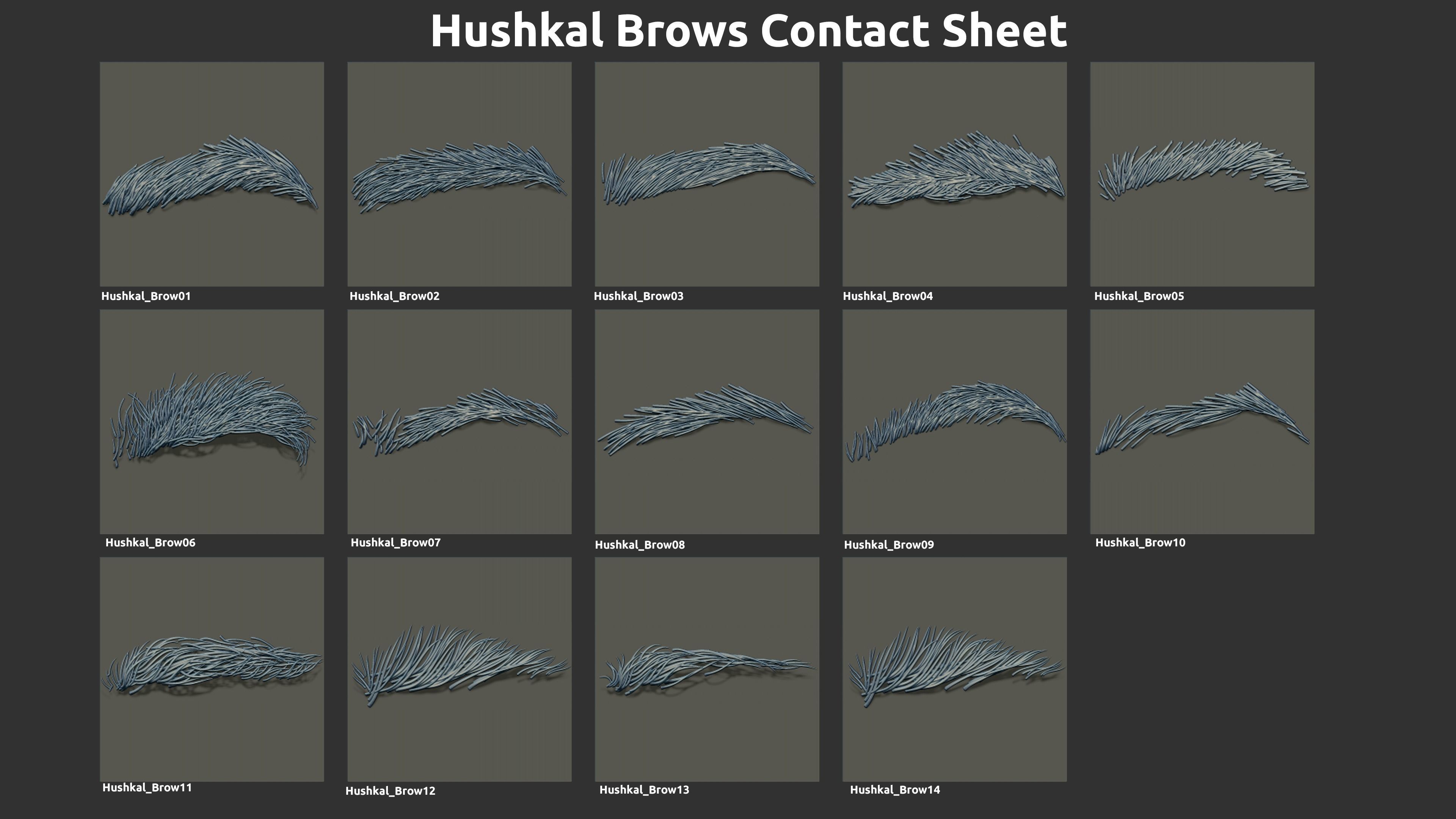 14 Zbrush Eyebrow IMMS 3D model_2
