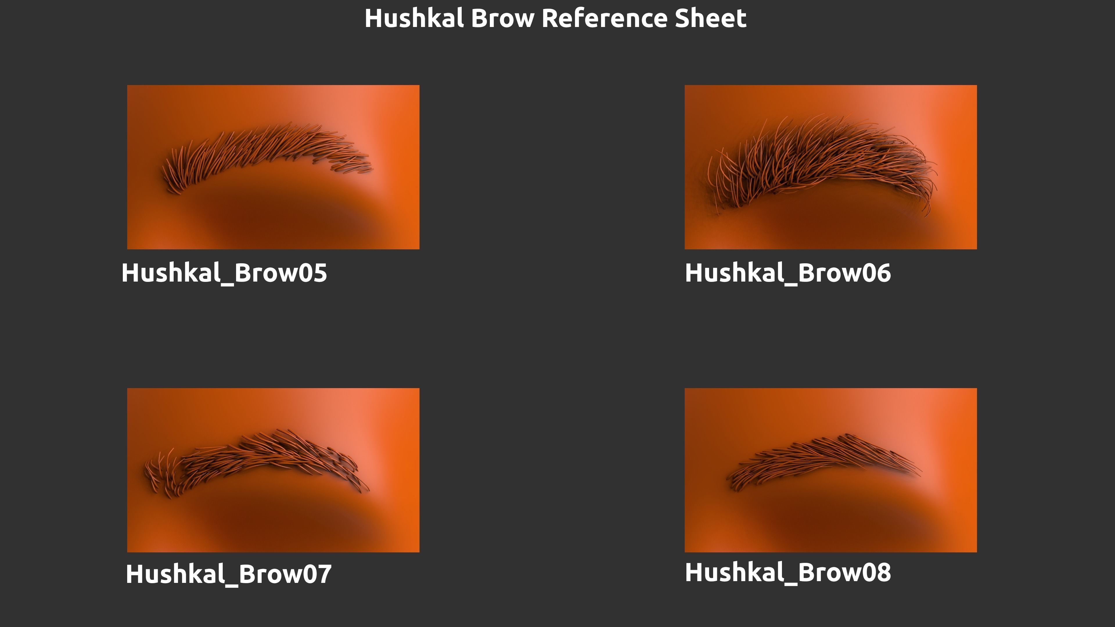 14 Zbrush Eyebrow IMMS 3D model_4