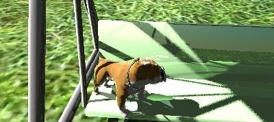 Swing and chair for small home garden Free low-poly 3D model_1