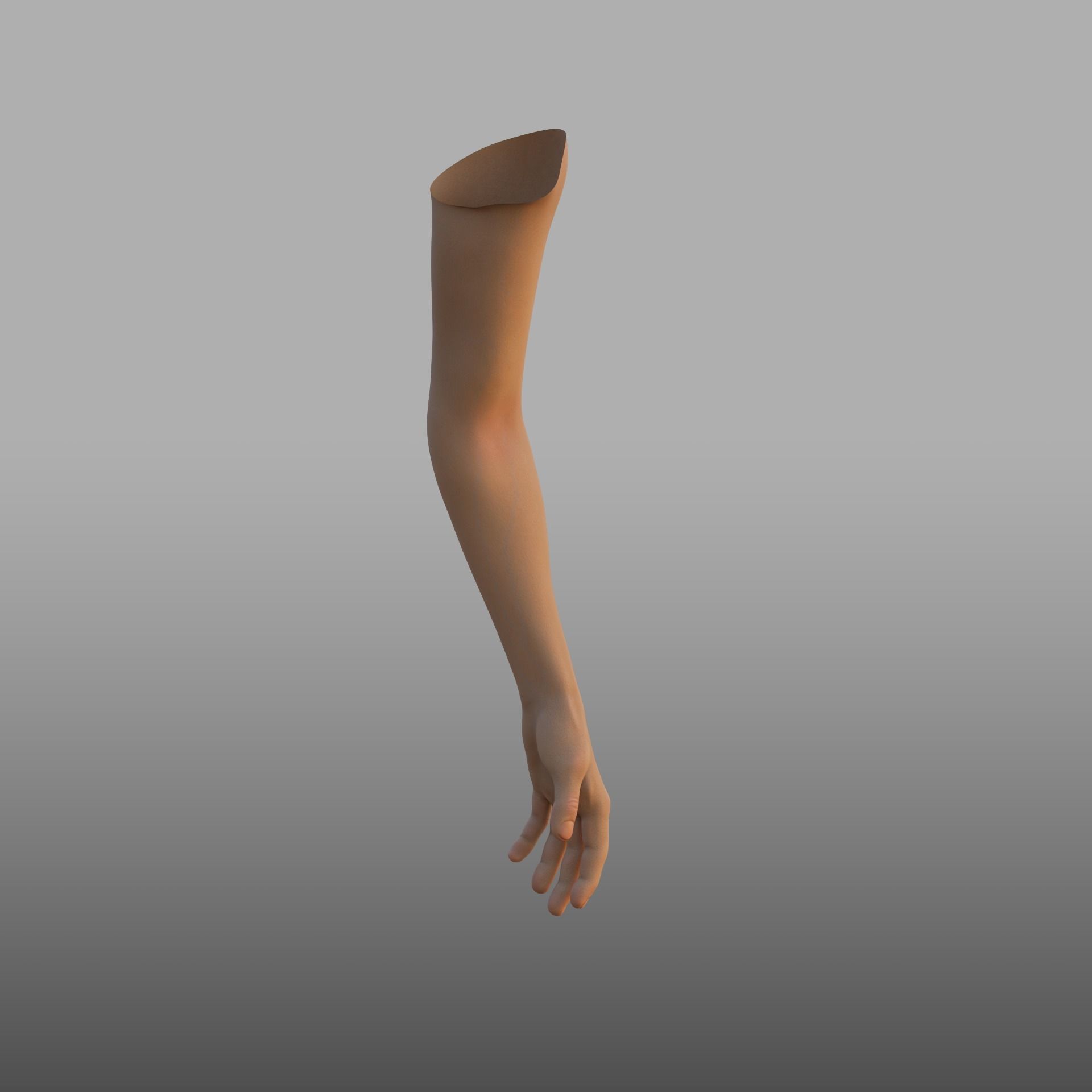 hand anatomy 3D model_4