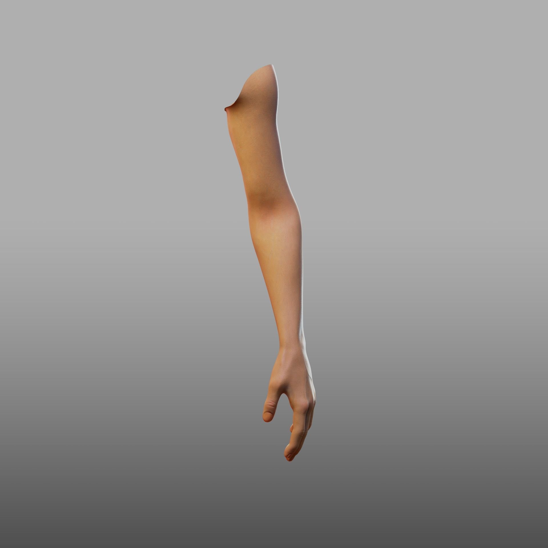 hand anatomy 3D model_14
