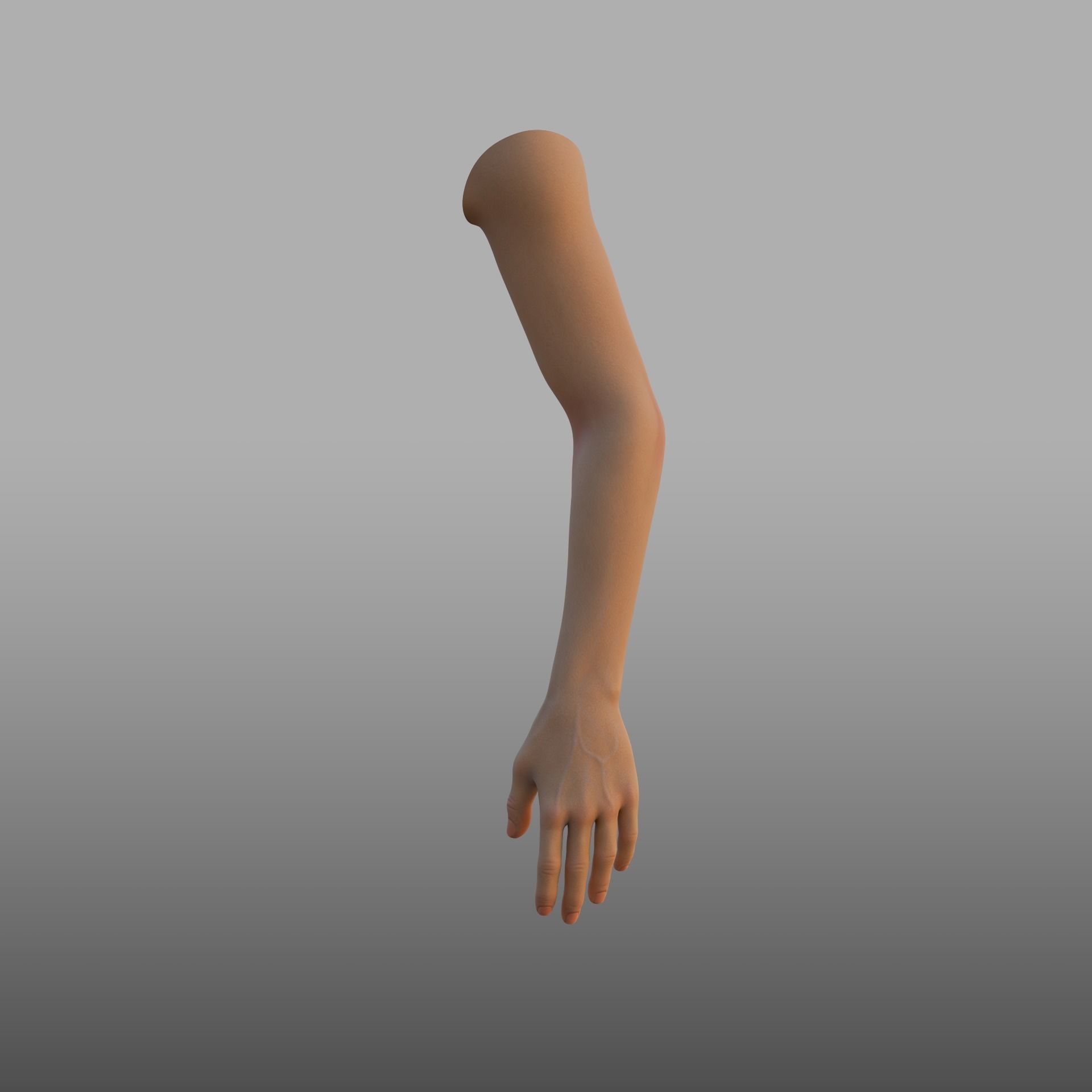 hand anatomy 3D model_6