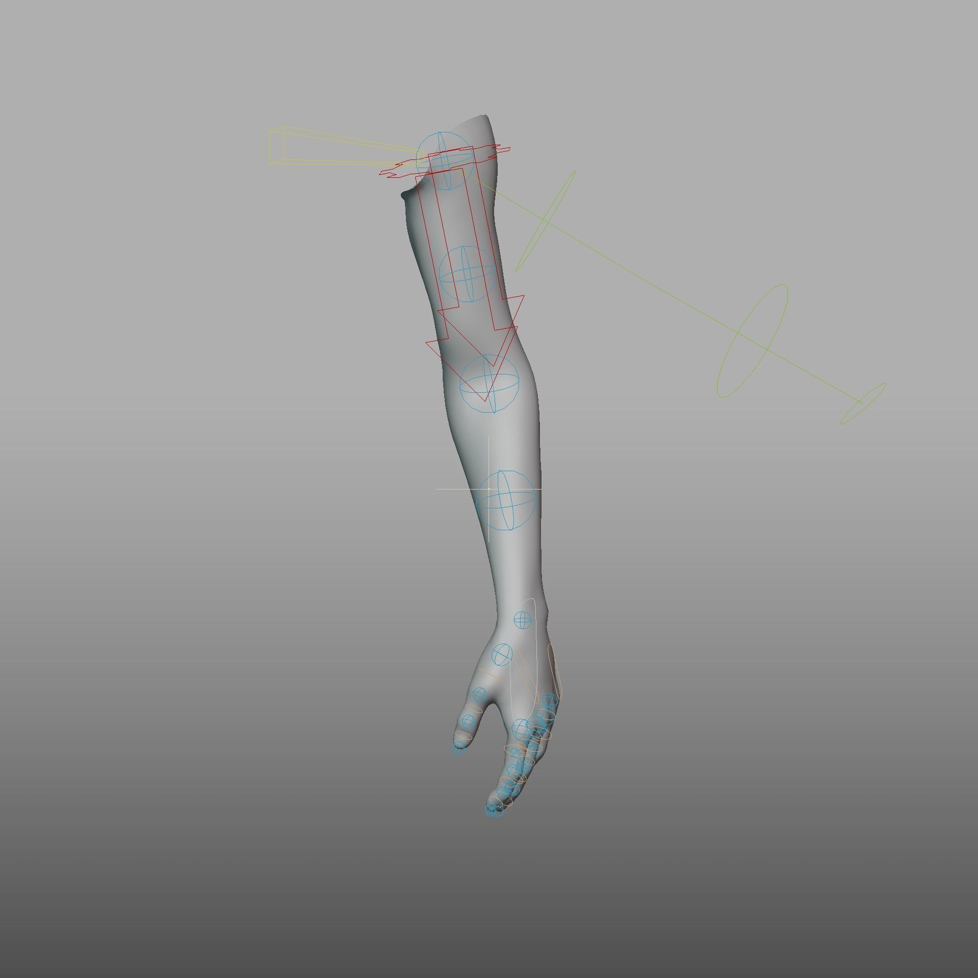 hand anatomy 3D model_23