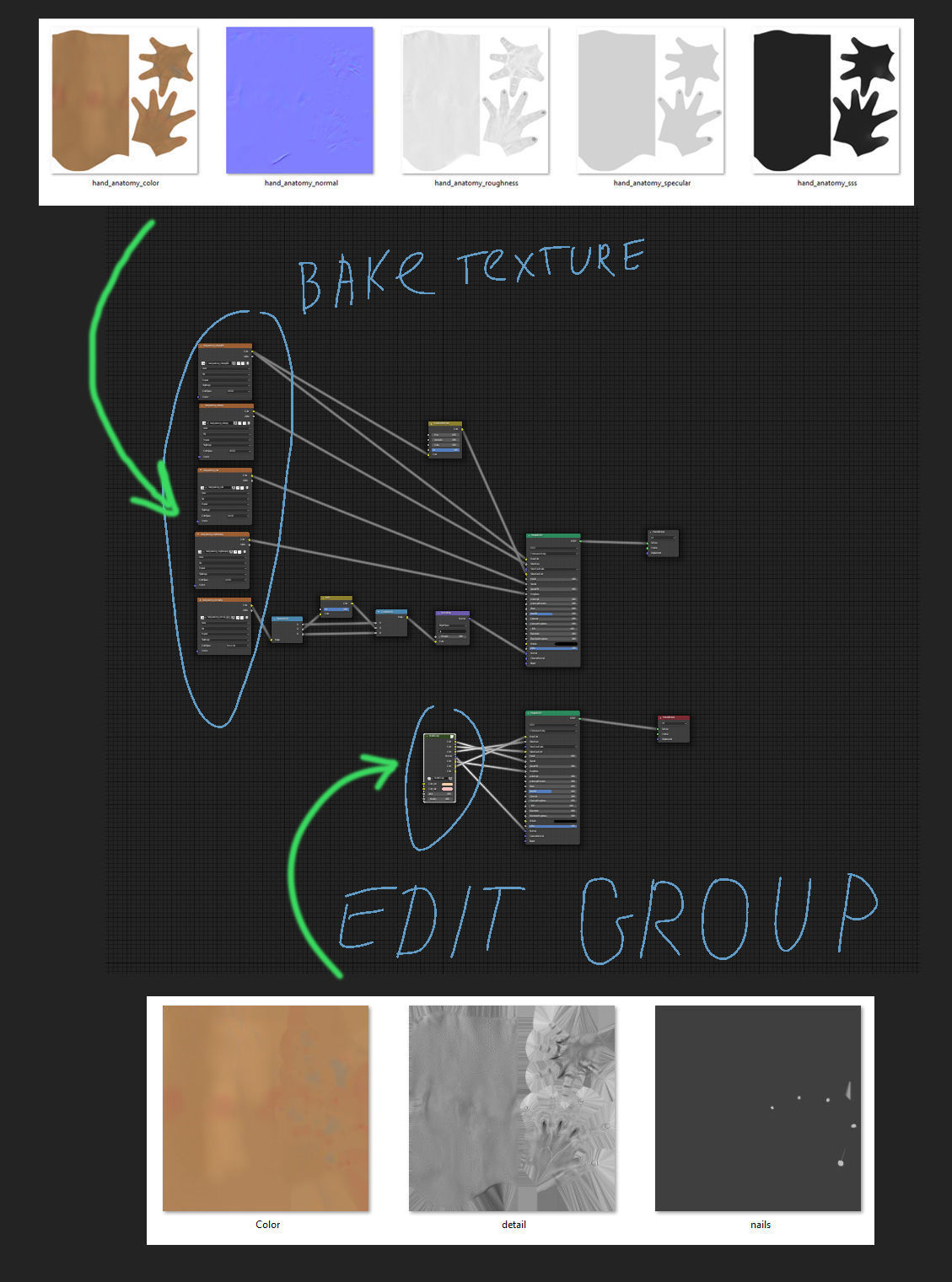 hand anatomy 3D model_27