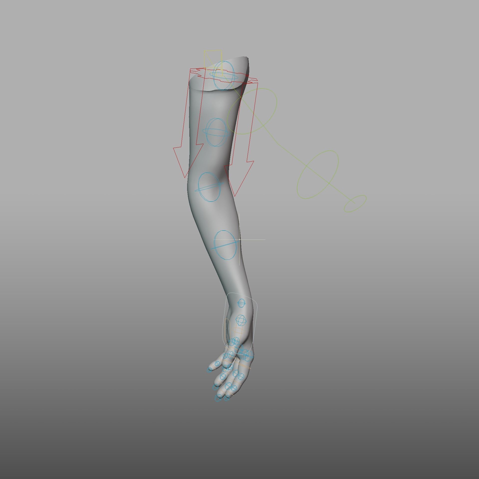 hand anatomy 3D model_25