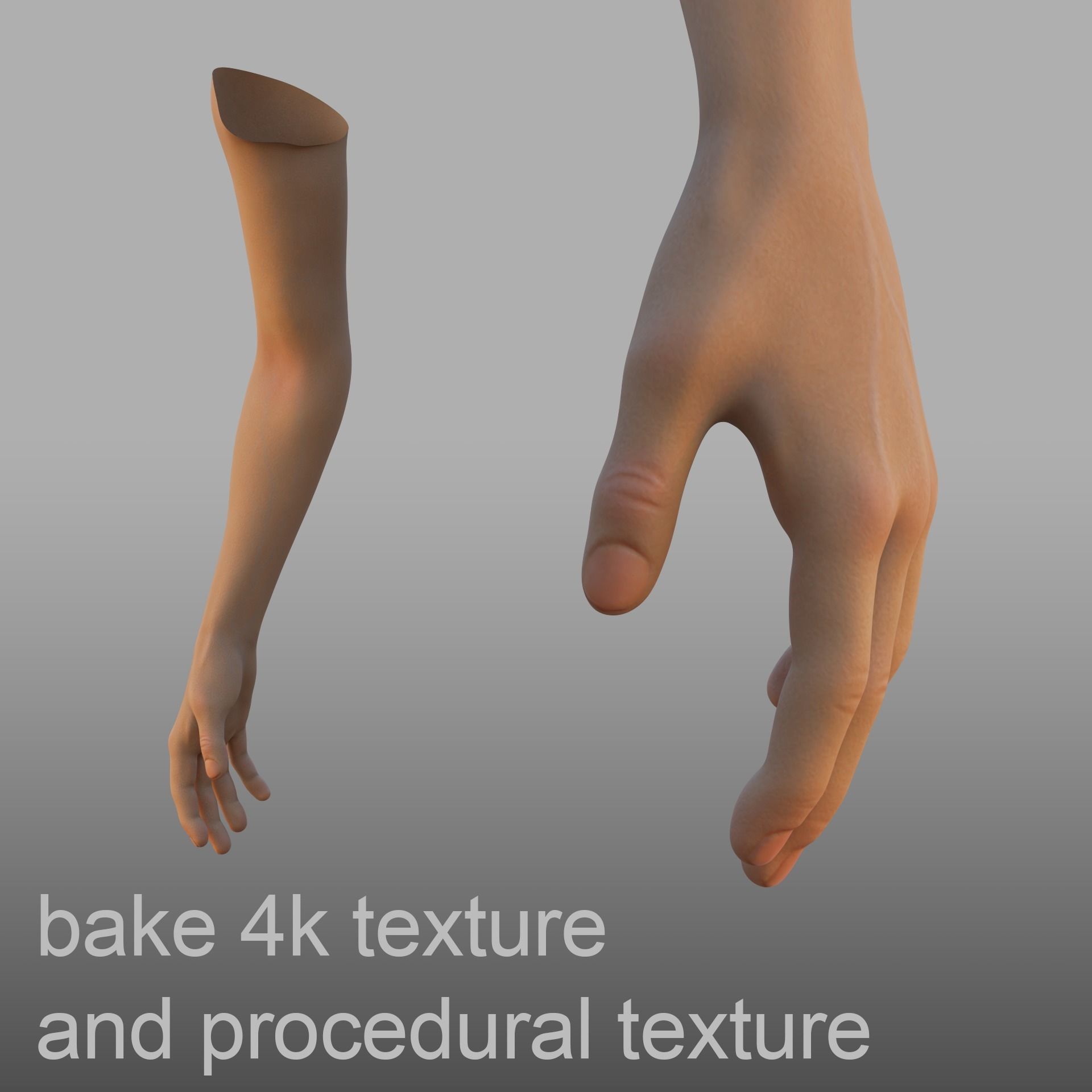 hand anatomy 3D model_2