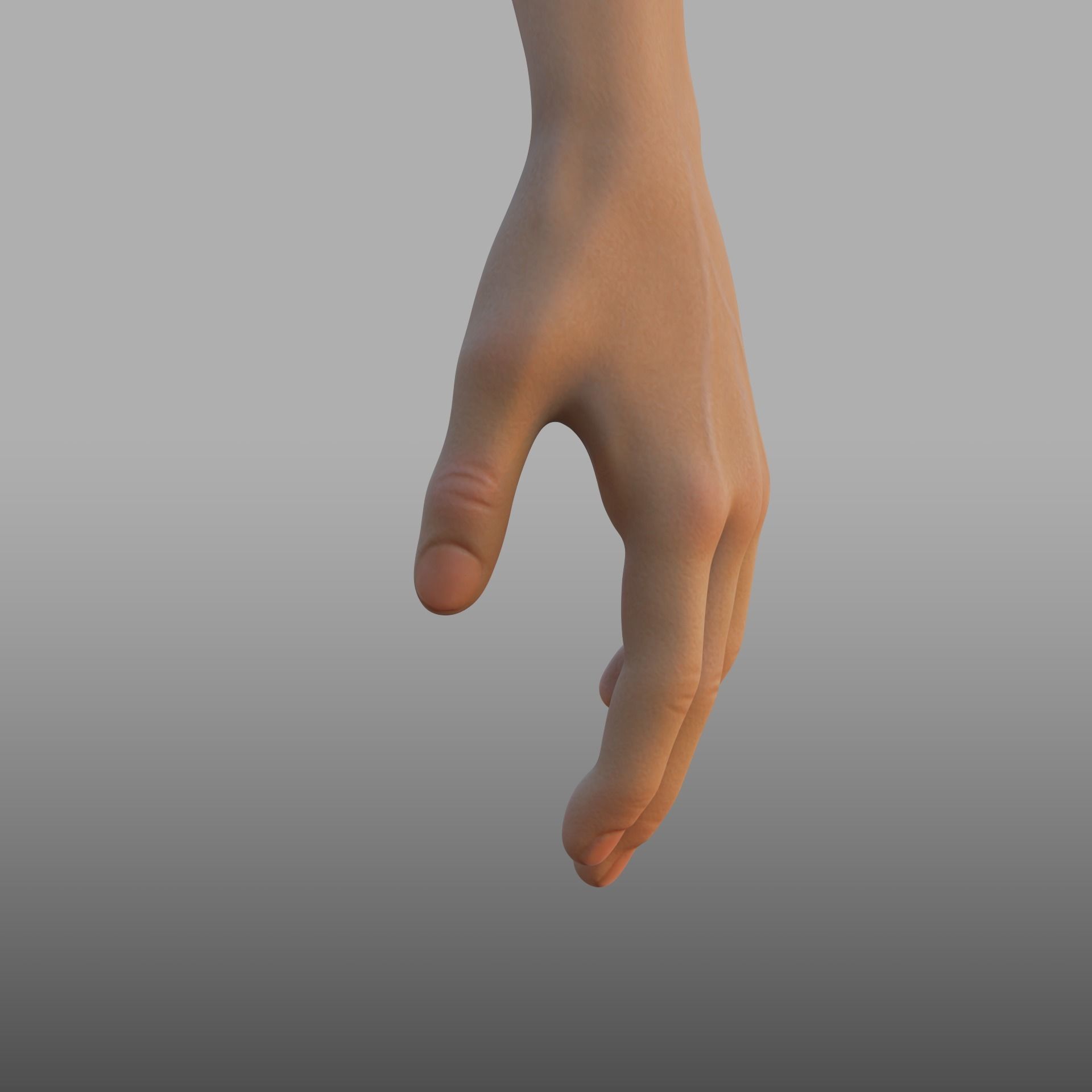 hand anatomy 3D model_10