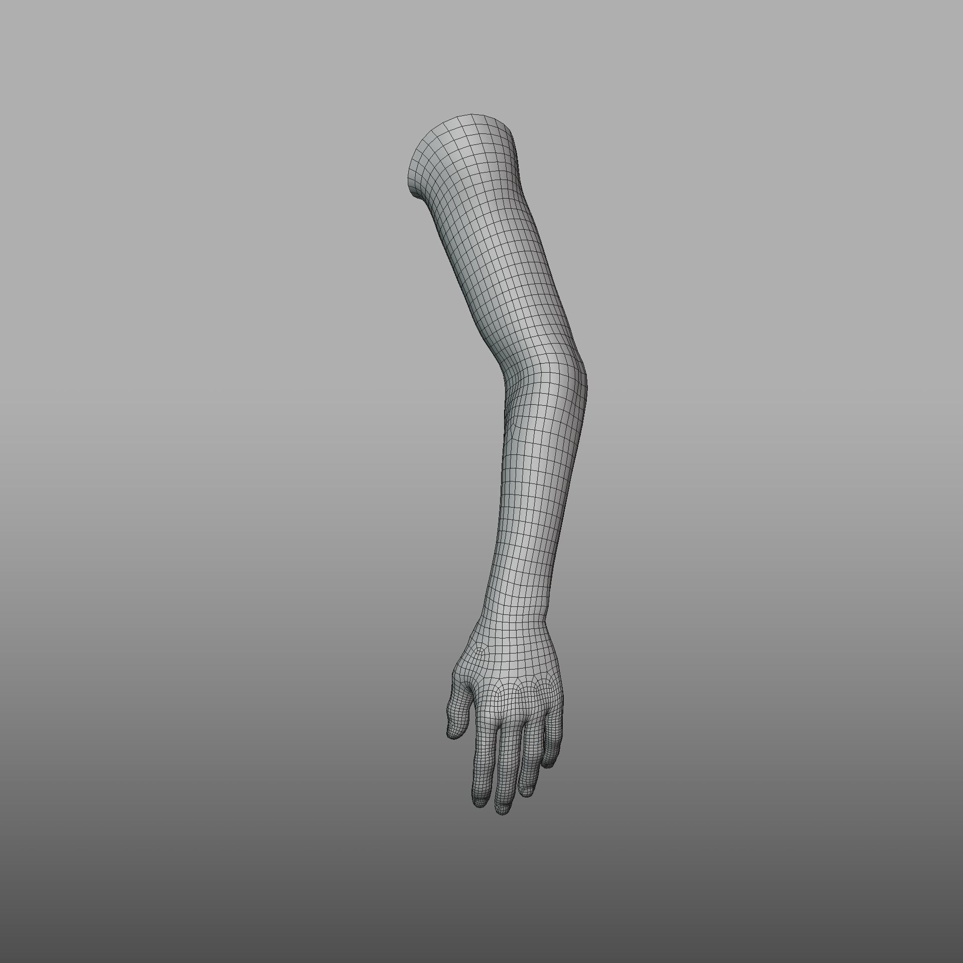 hand anatomy 3D model_22