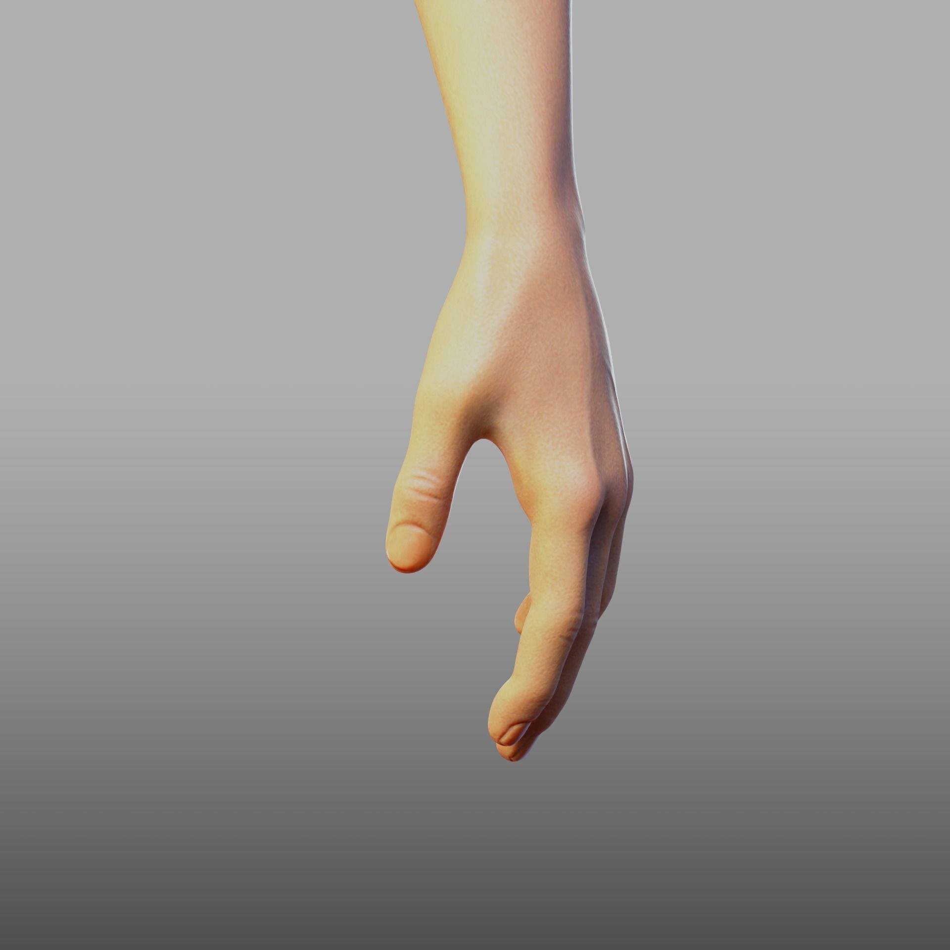 hand anatomy 3D model_18