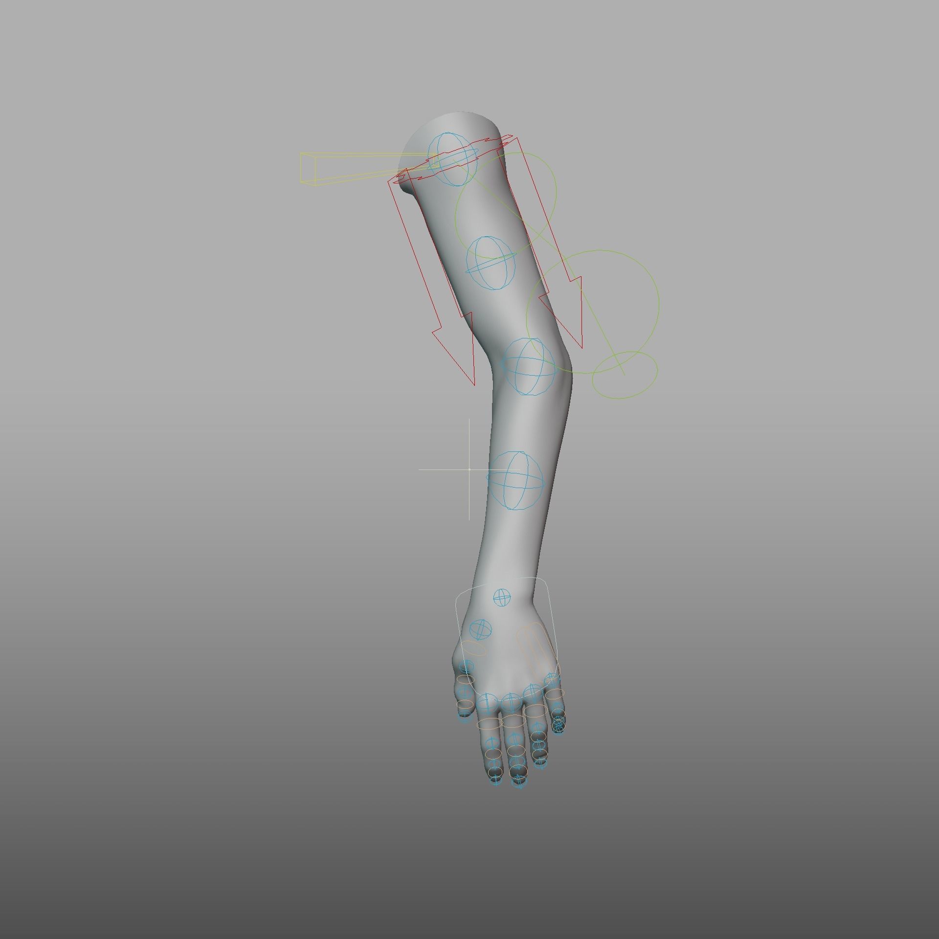 hand anatomy 3D model_24