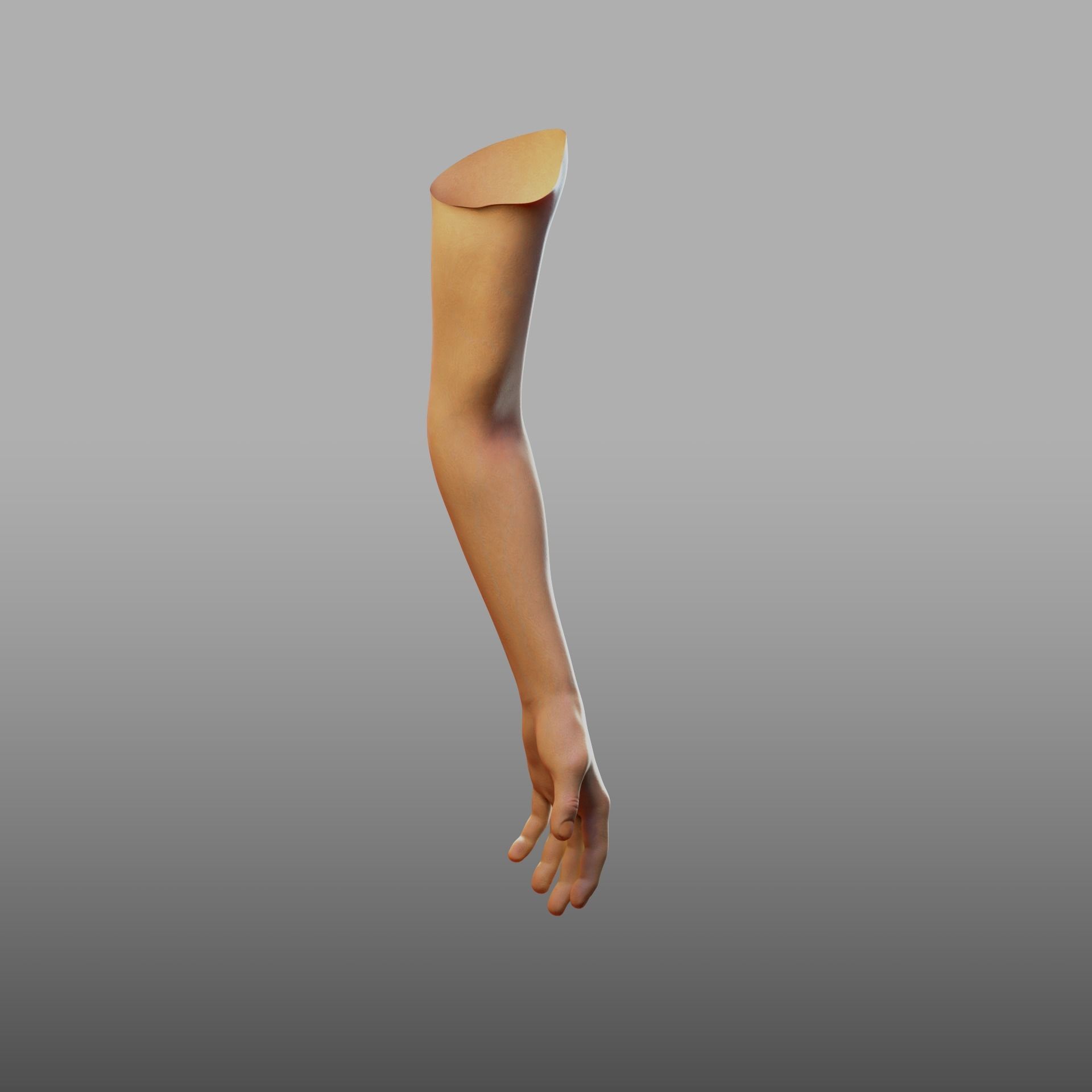 hand anatomy 3D model_11