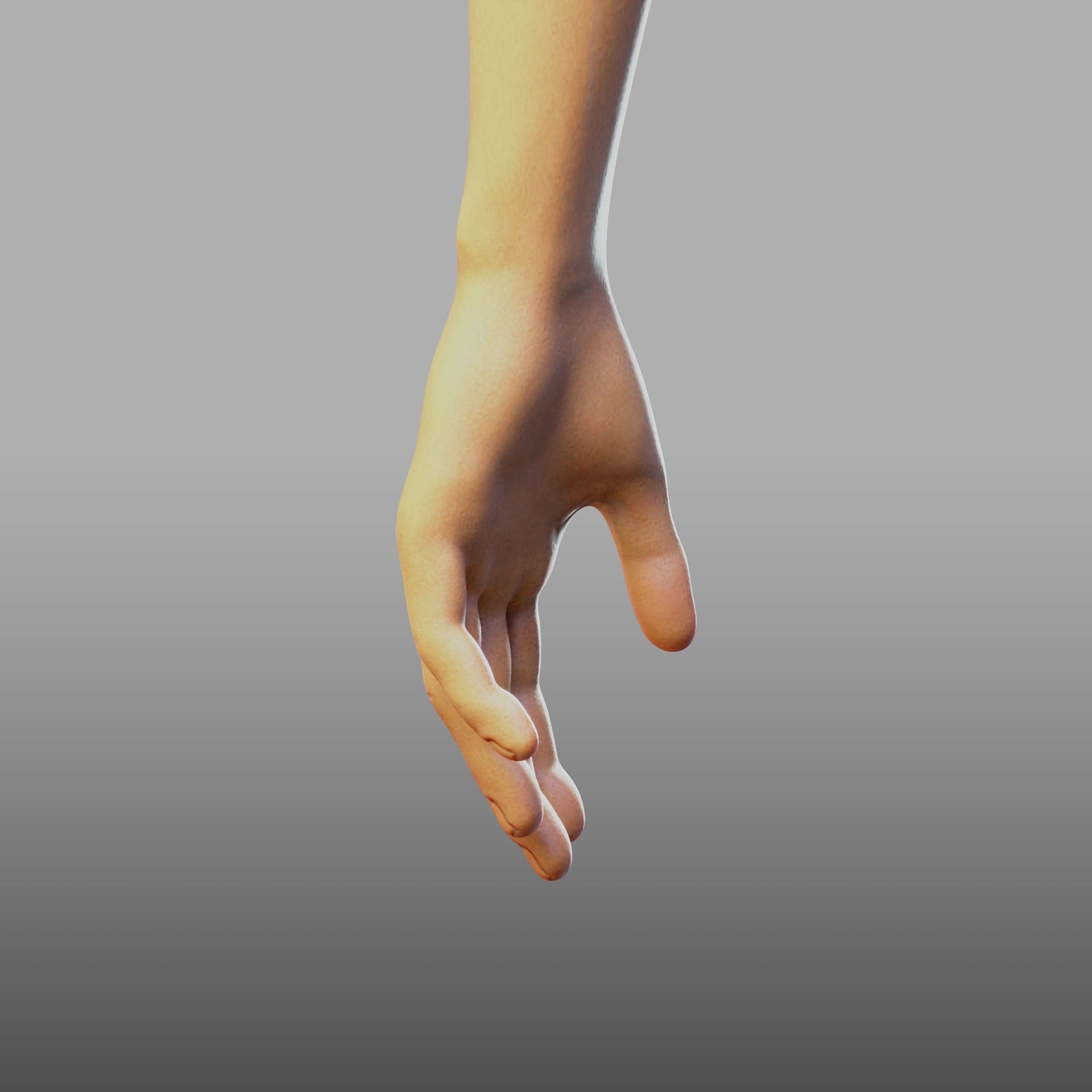 hand anatomy 3D model_16