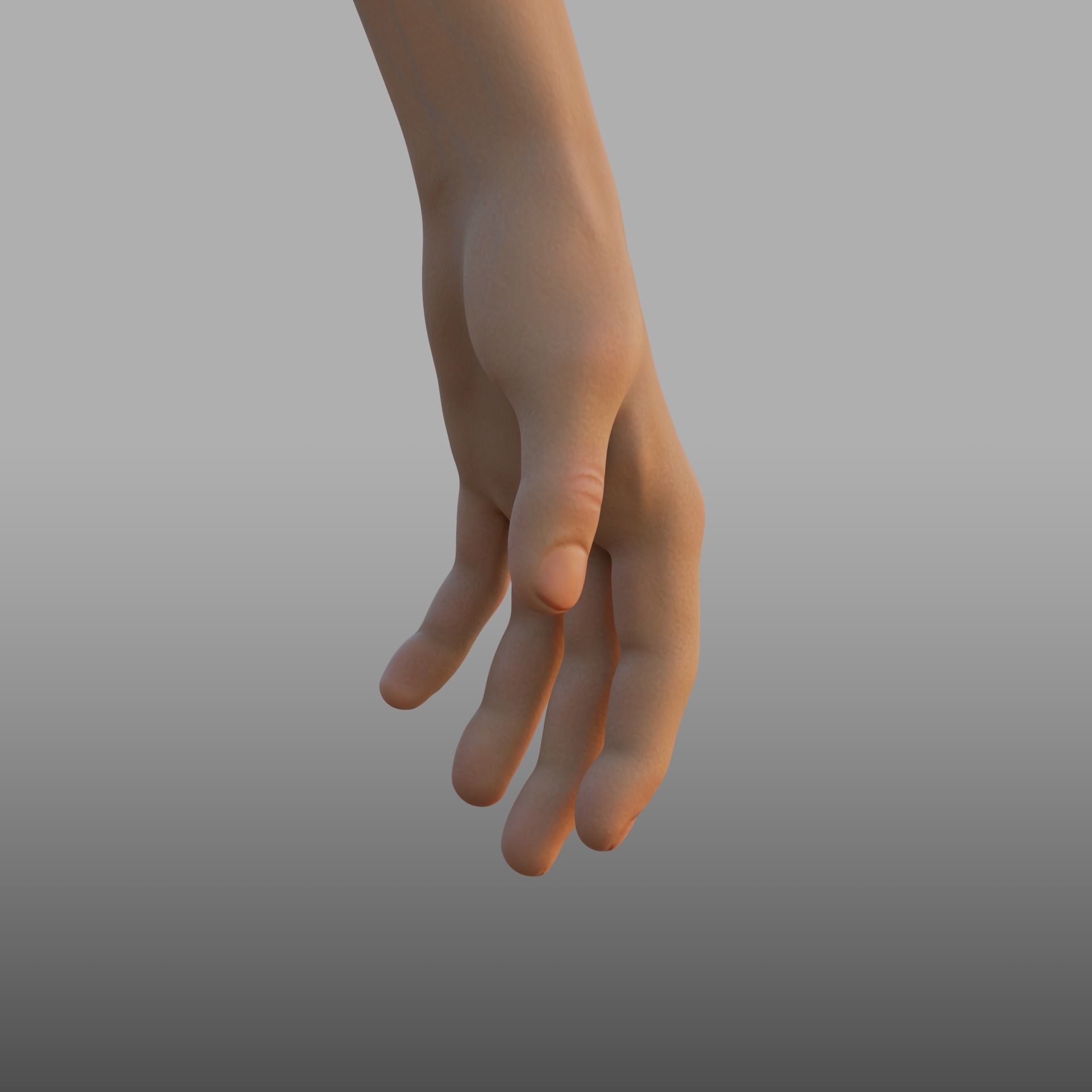 hand anatomy 3D model_7