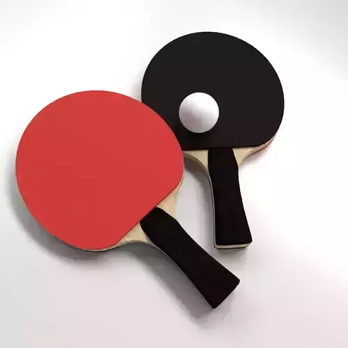 Table Tennis Set