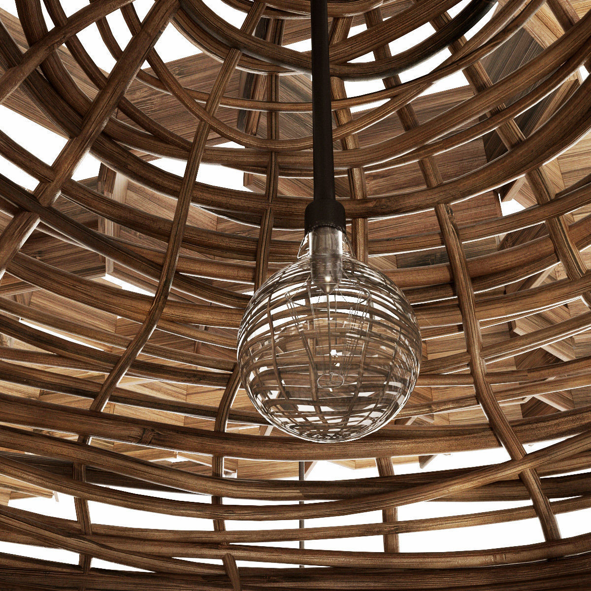 Branch Vespiary ceiling decor n1 3D model_11