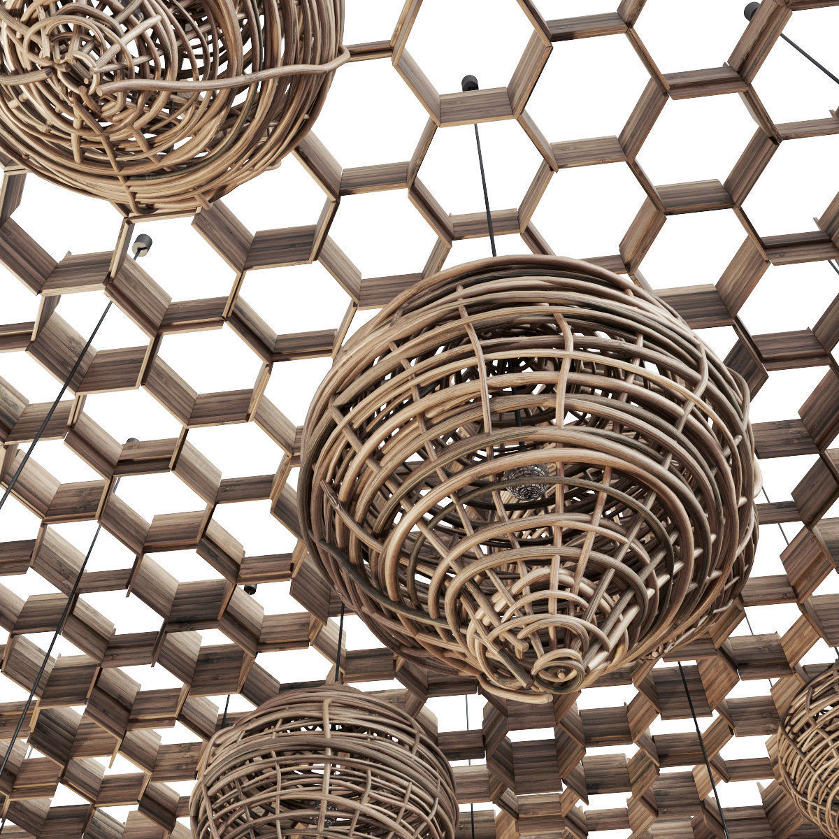 Branch Vespiary ceiling decor n1 3D model_8