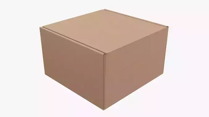 Corrugated cardboard box packaging 04