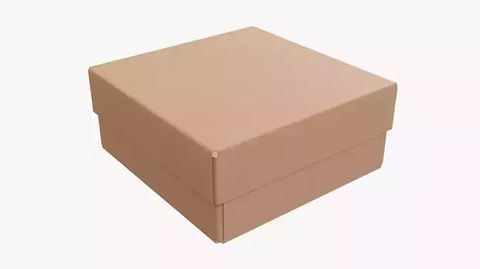 Lid and try cardboard box packing 05 3D model