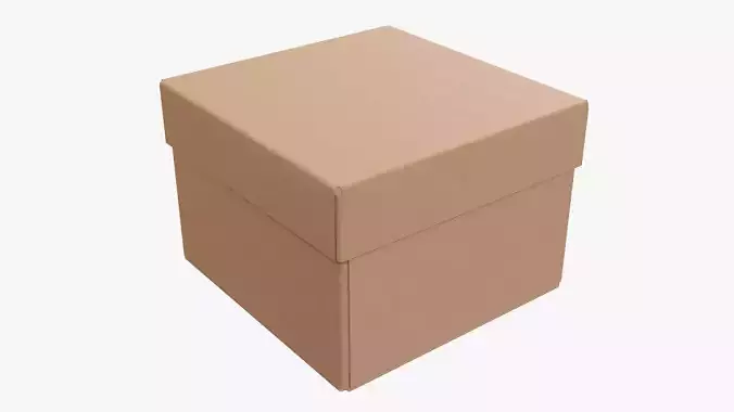 Lid and try cardboard box packing 06 3D model