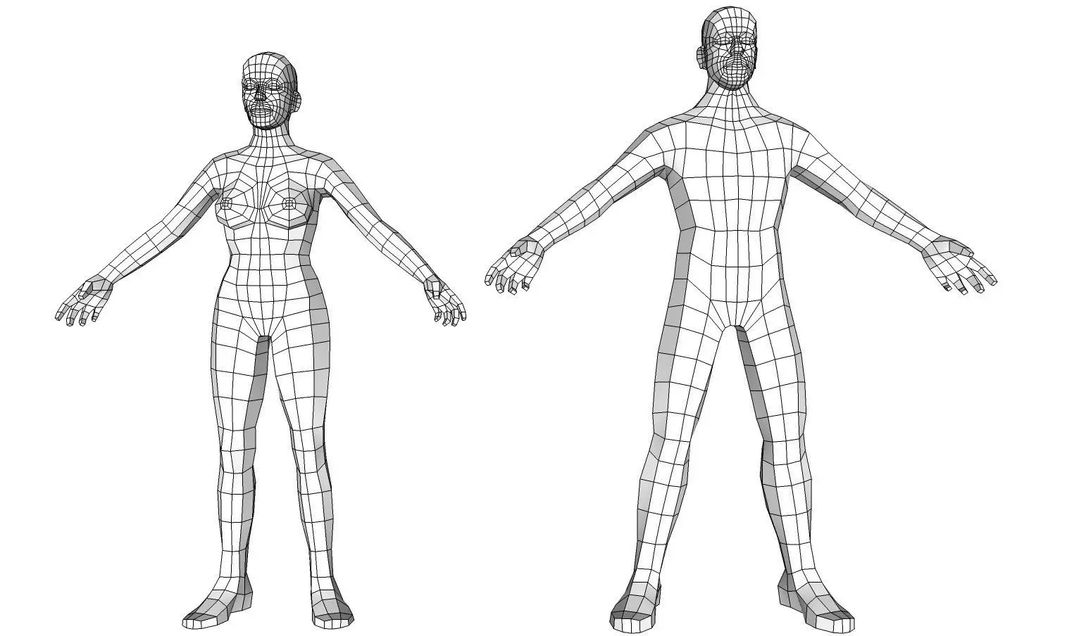 Human Base Mesh 3D model