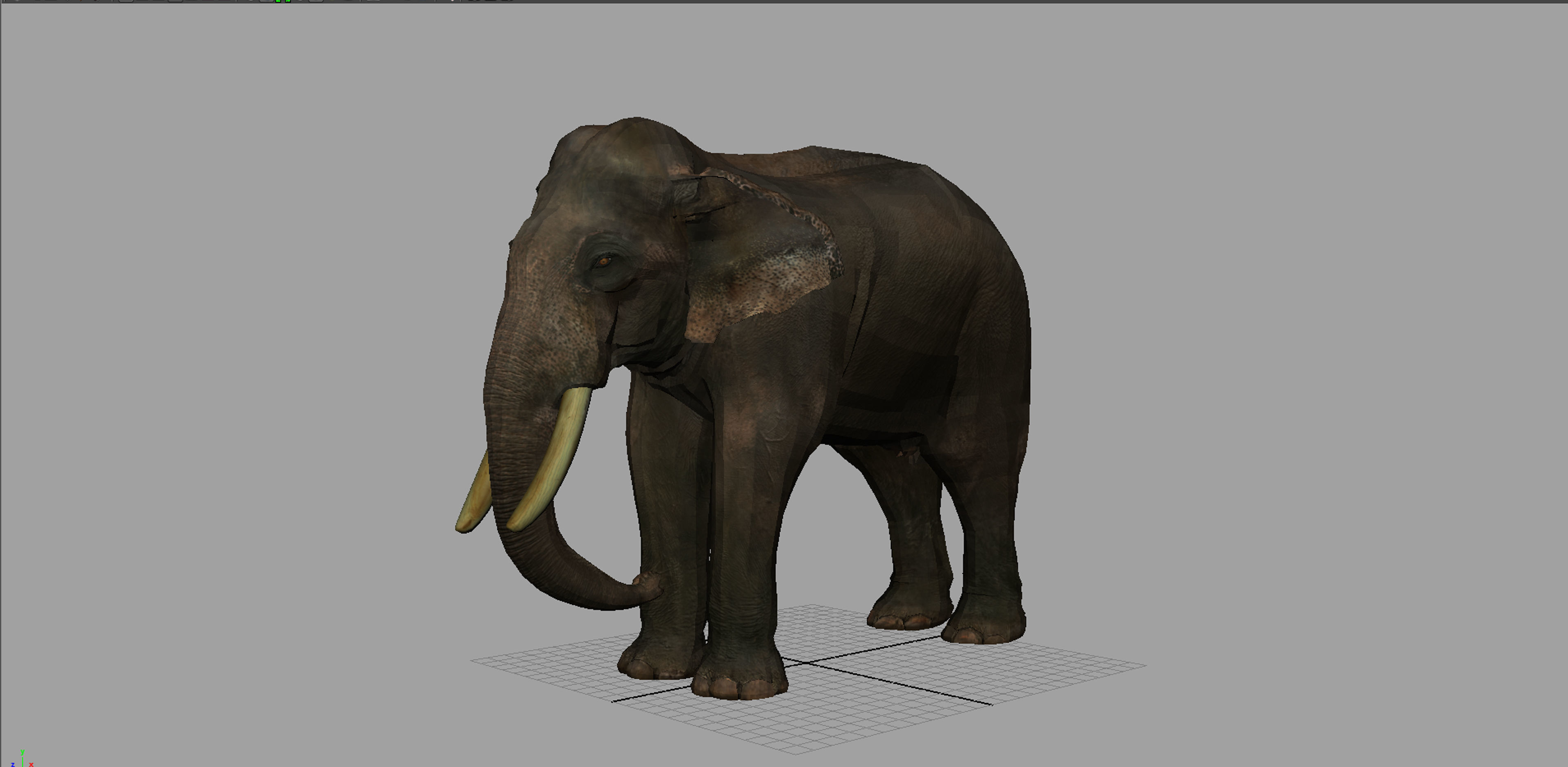 asian elephant 3d rig model 3D model_10