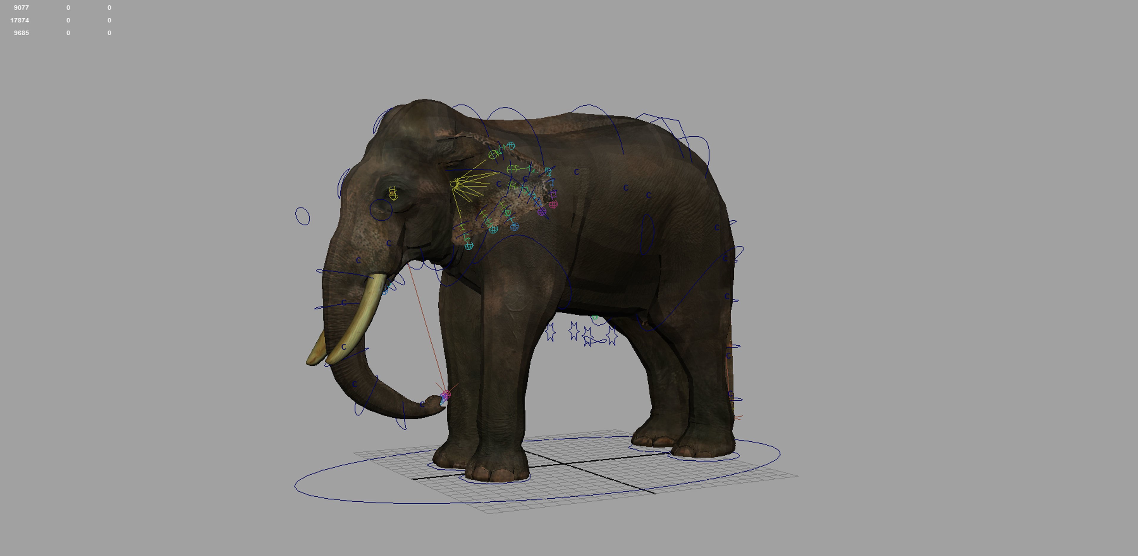 asian elephant 3d rig model 3D model_4