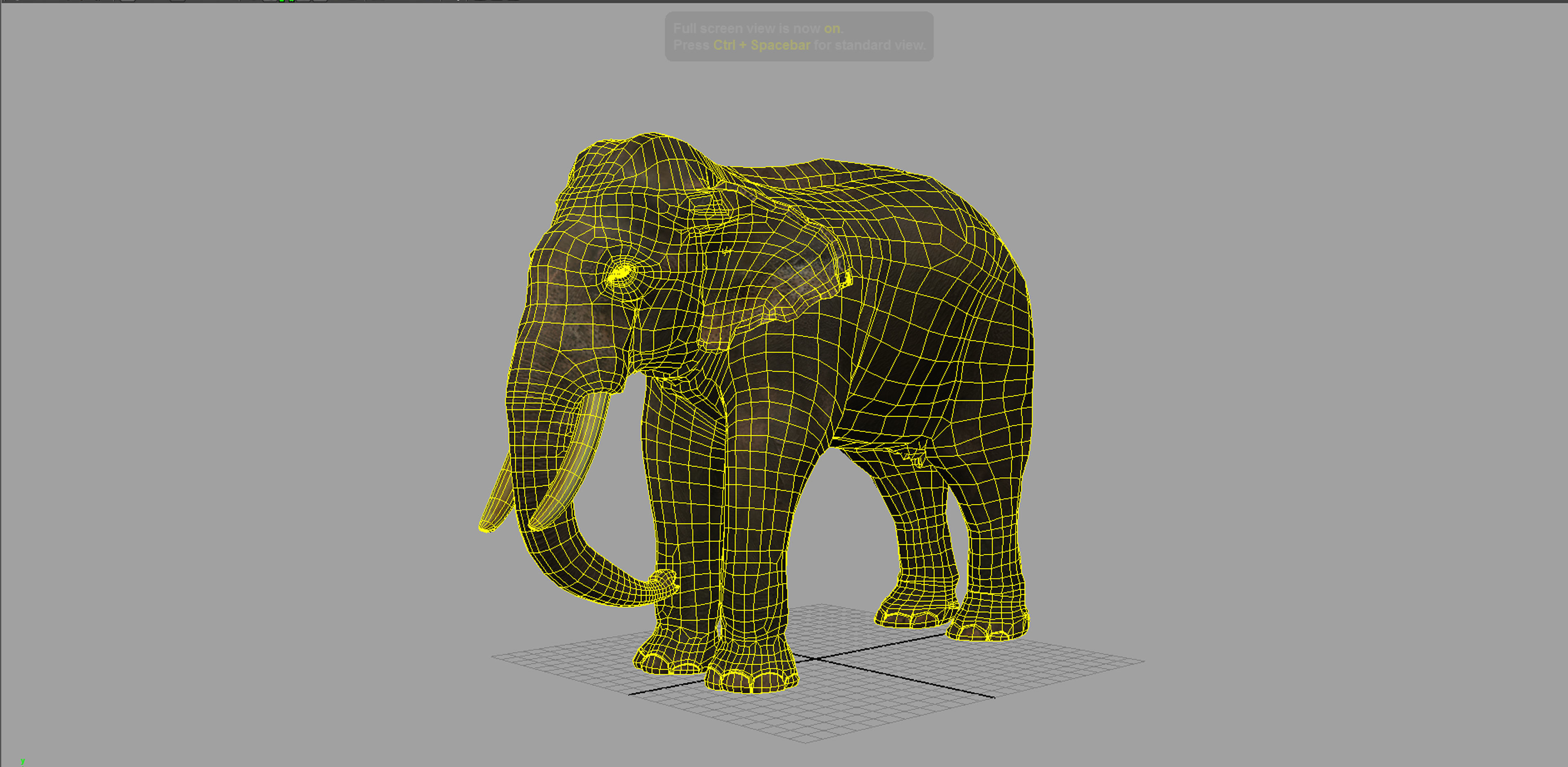 asian elephant 3d rig model 3D model_11