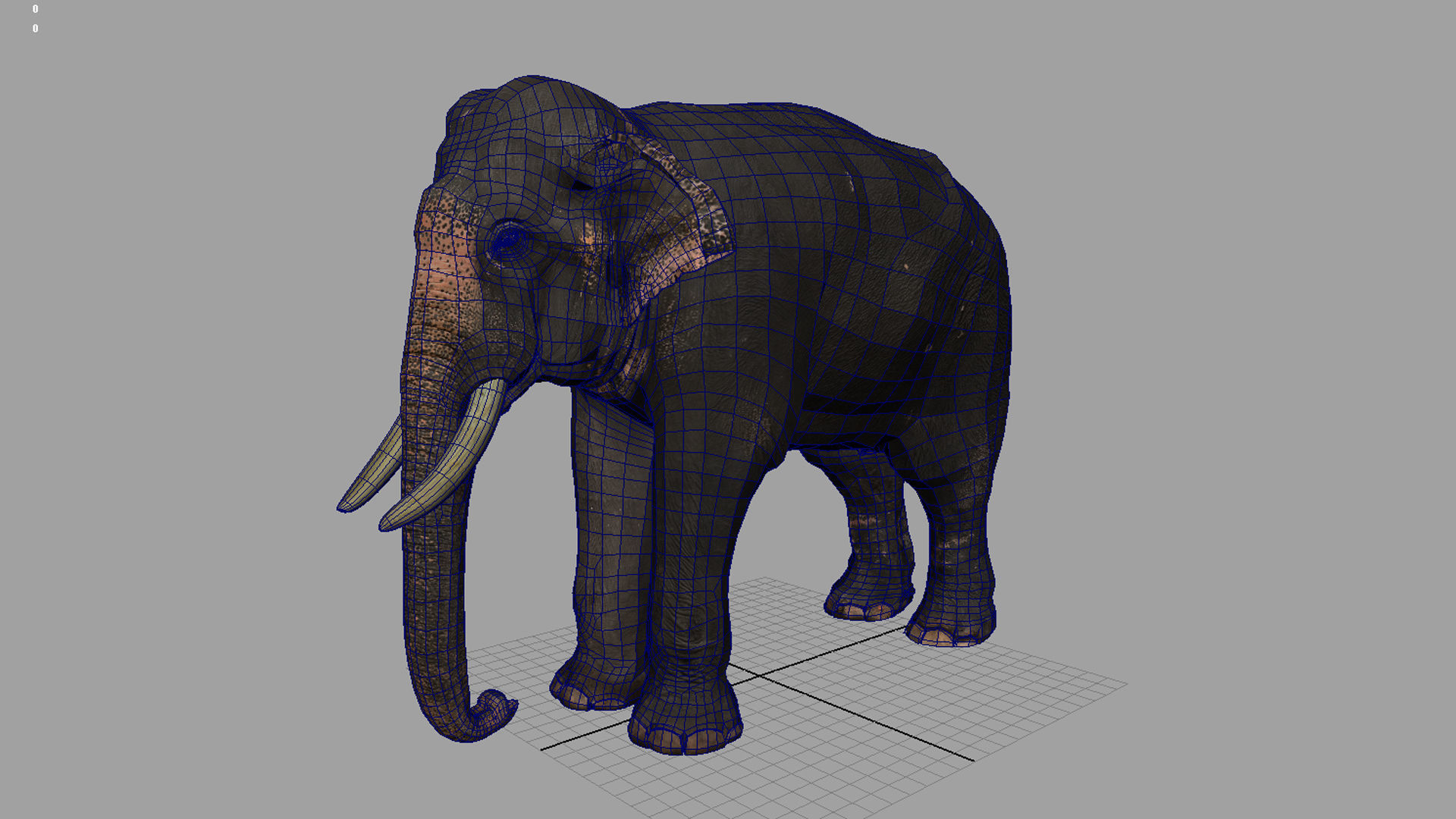 asian elephant 3d rig model 2 3D model_15
