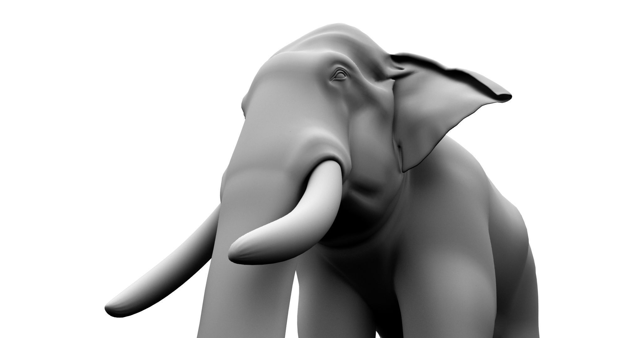 asian elephant 3d rig model 2 3D model_13