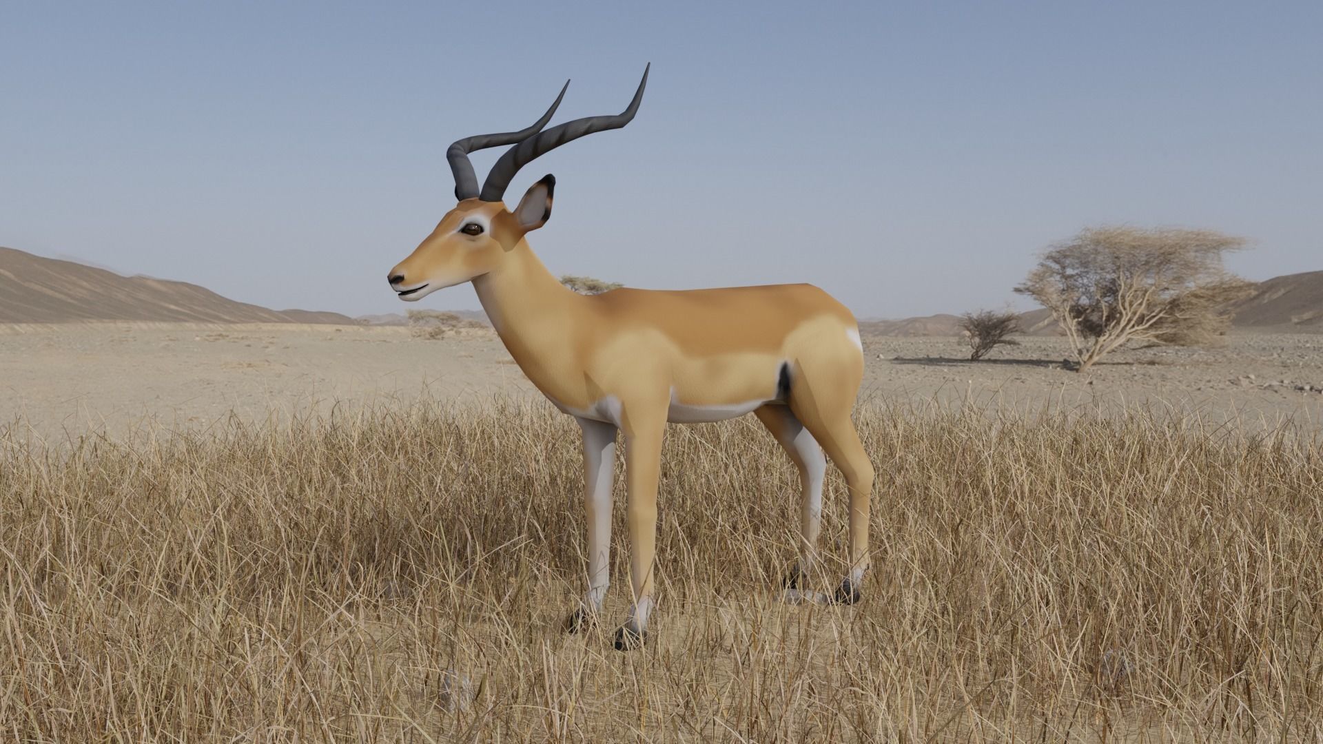 Gazelle antelope Low-poly 3D model_2