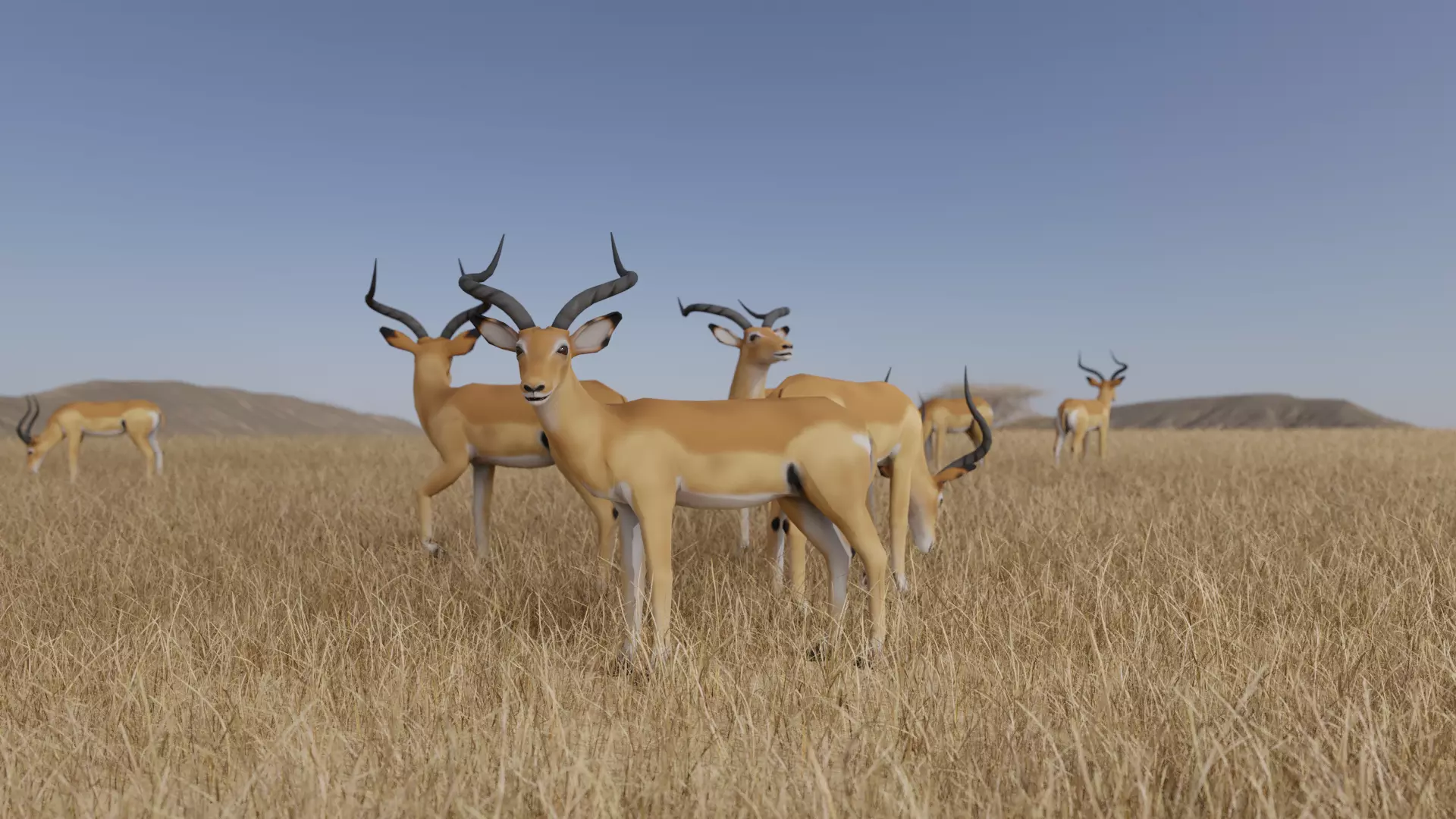 Gazelle antelope Low-poly 3D model_0