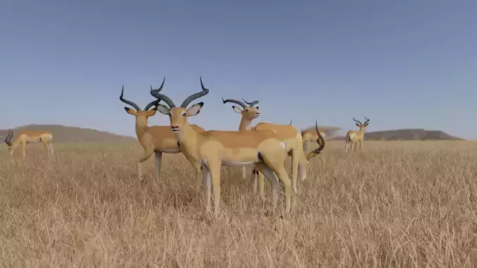 Gazelle antelope Low-poly 3D model