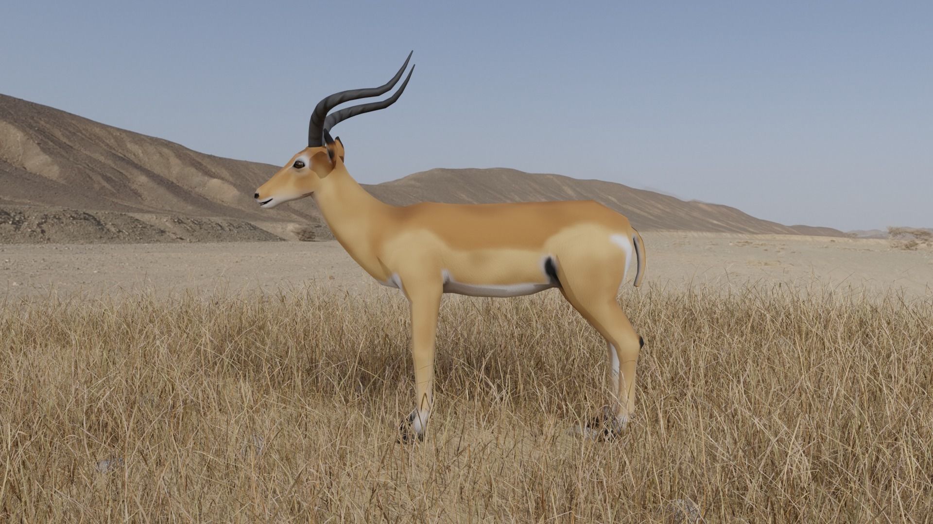 Gazelle antelope Low-poly 3D model_4