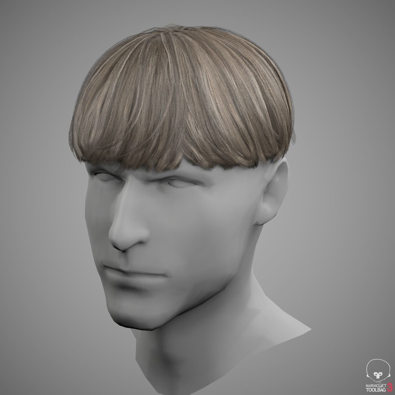 Round Hair Low poly Low-poly 3D model_2