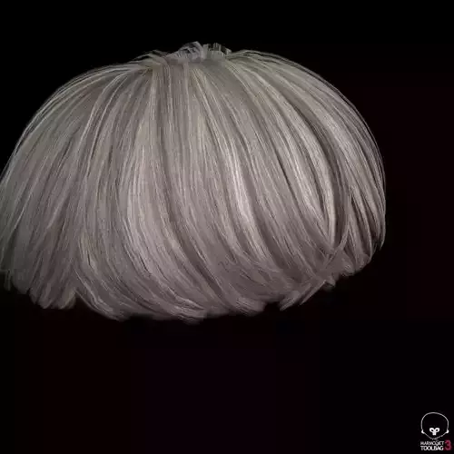 Round Hair Low poly Low-poly 3D model