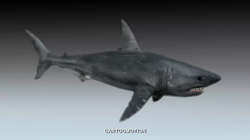 Great white shark Free low-poly 3D model_0