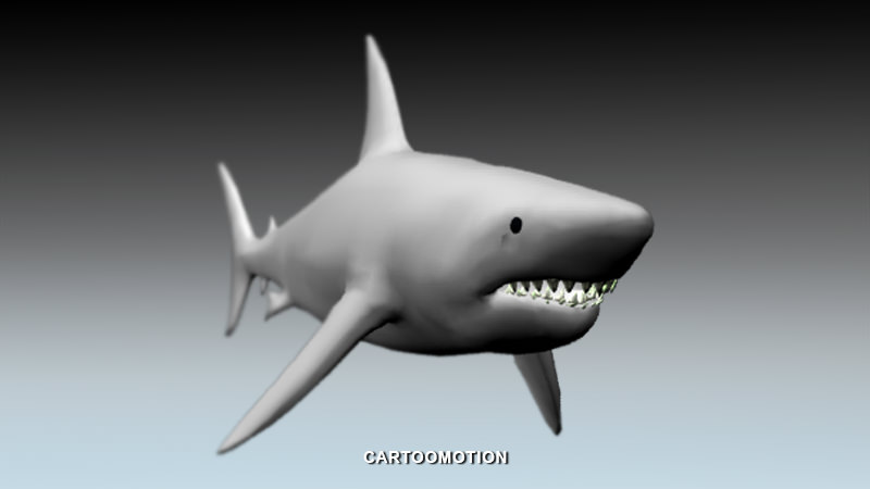 Great white shark Free low-poly 3D model_3