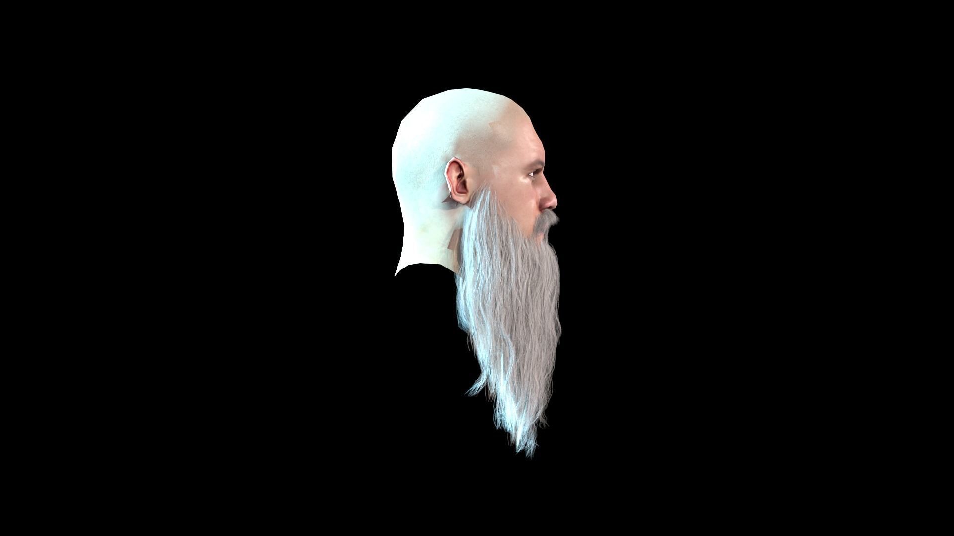 Long Beard Low Poly Low-poly 3D model_2