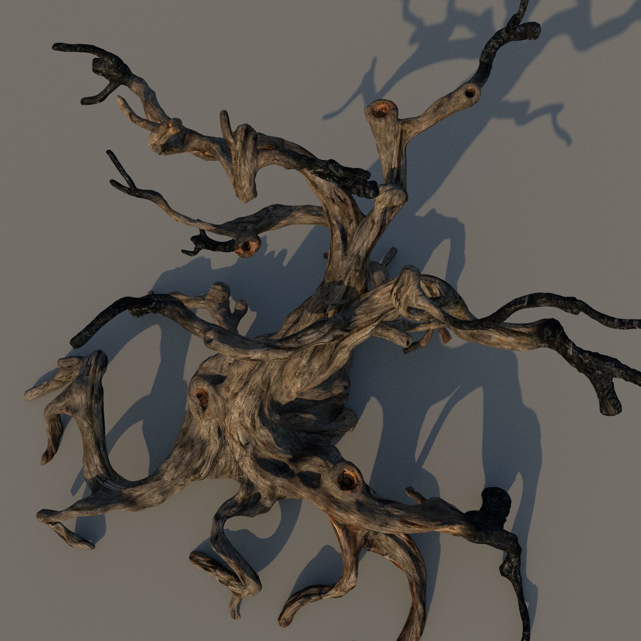 Fantasy tree  3D model_4