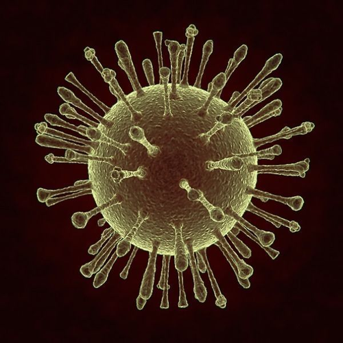Zika Virus 3D model