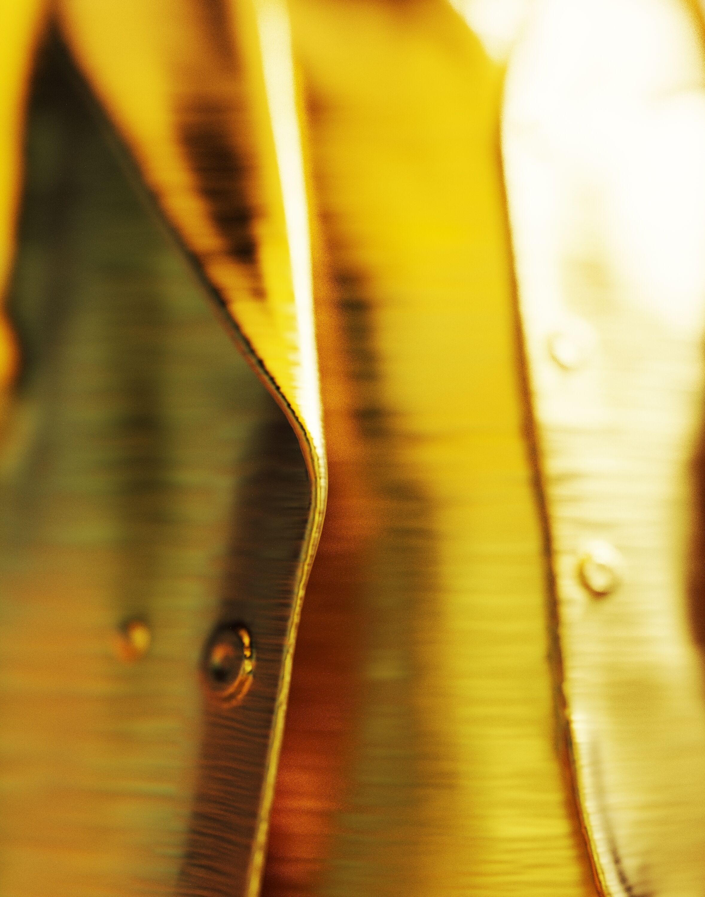 Le Parasyte 3D print model_3