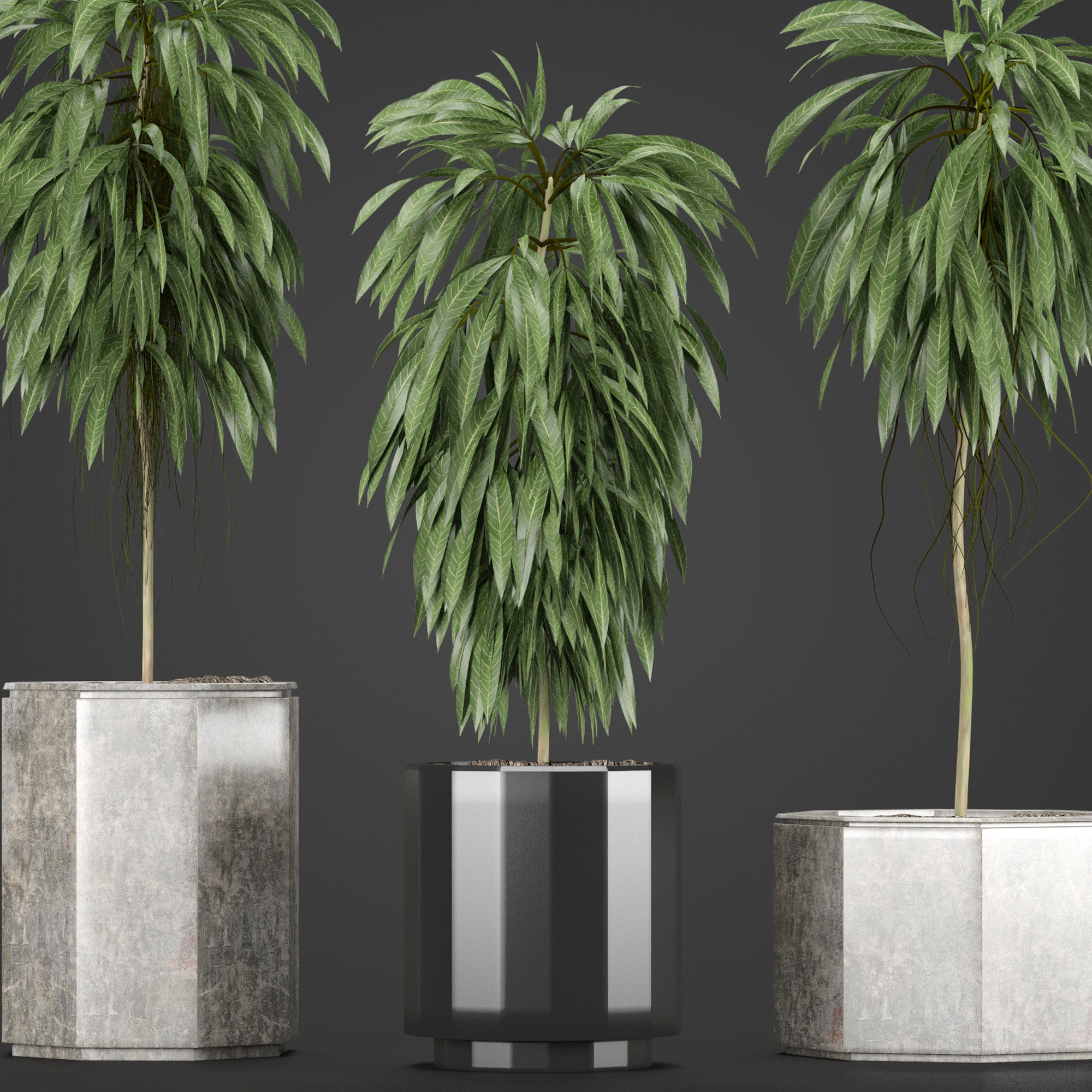 Plants Collection 08 3D model_6