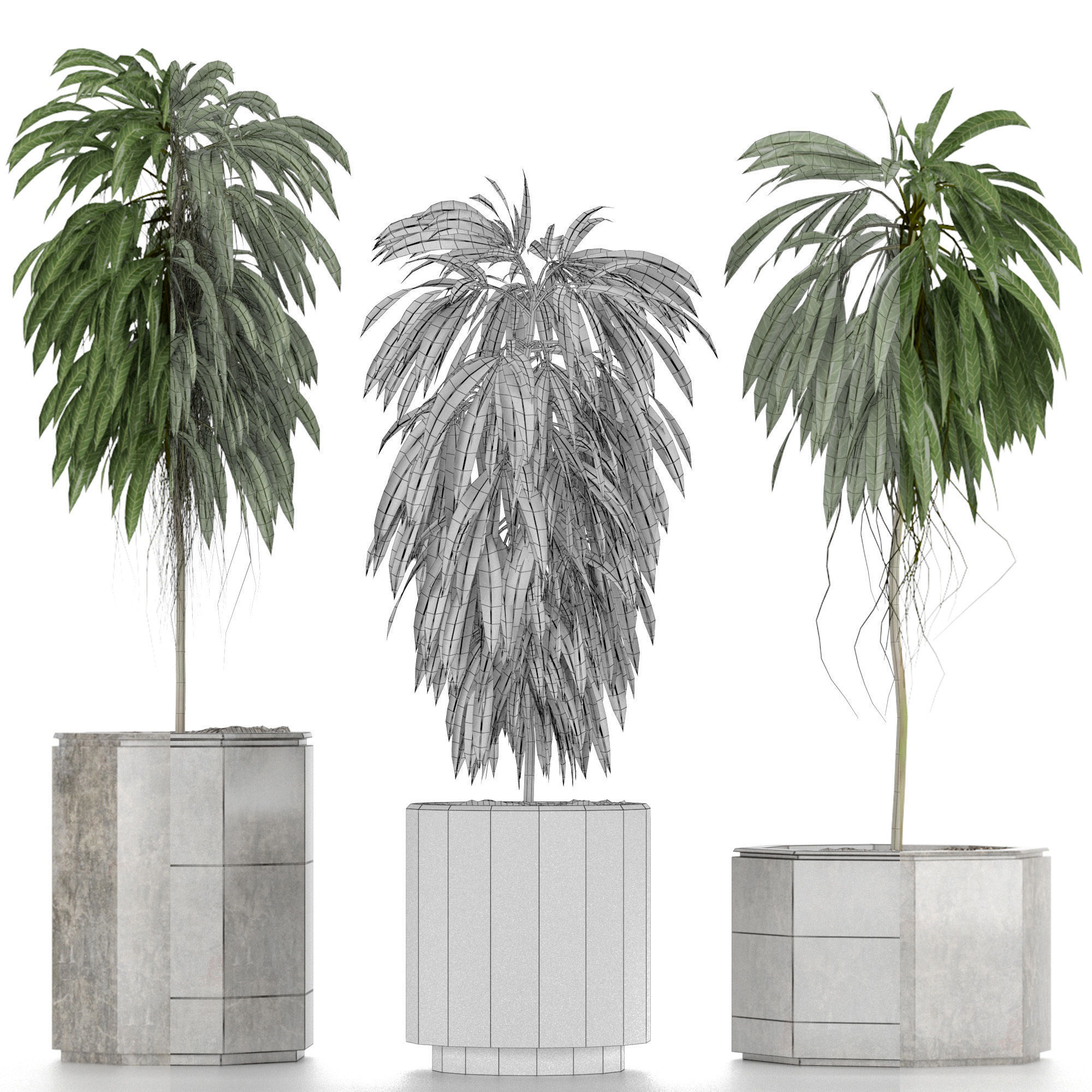 Plants Collection 08 3D model_7