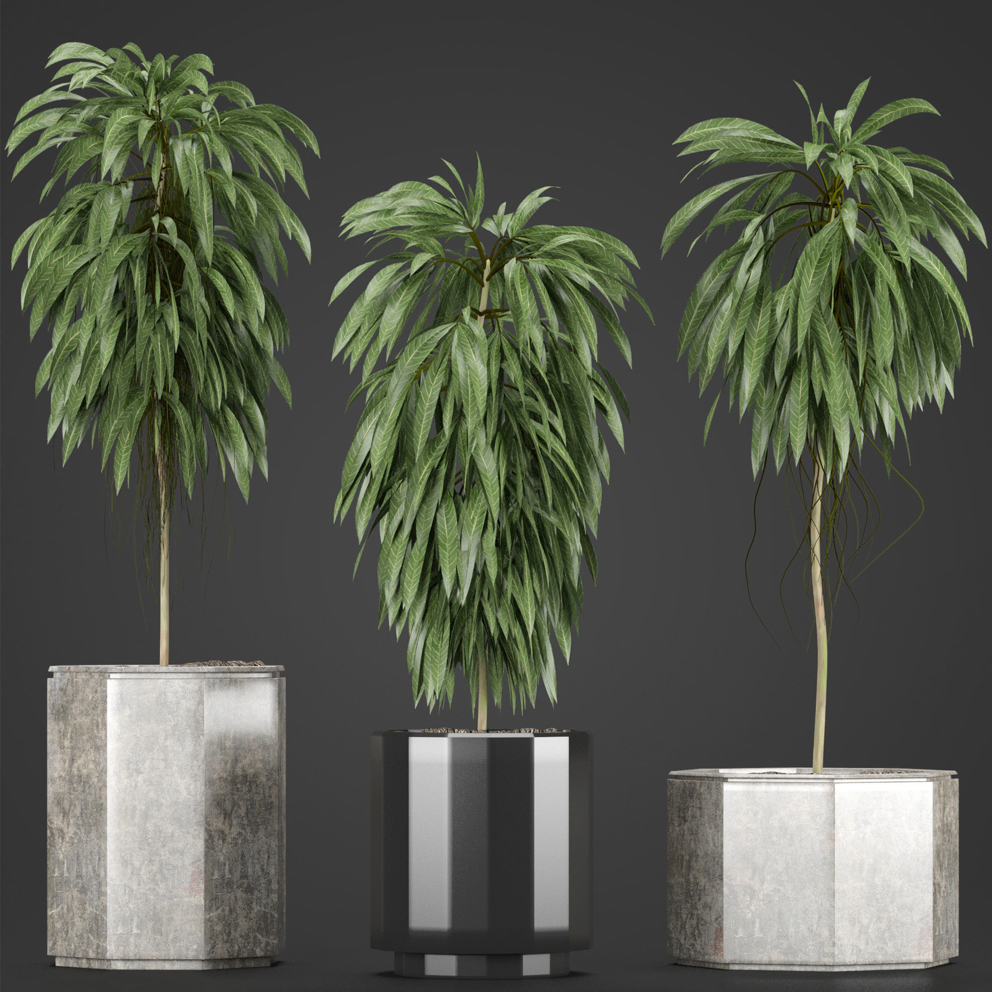 Plants Collection 08 3D model_1