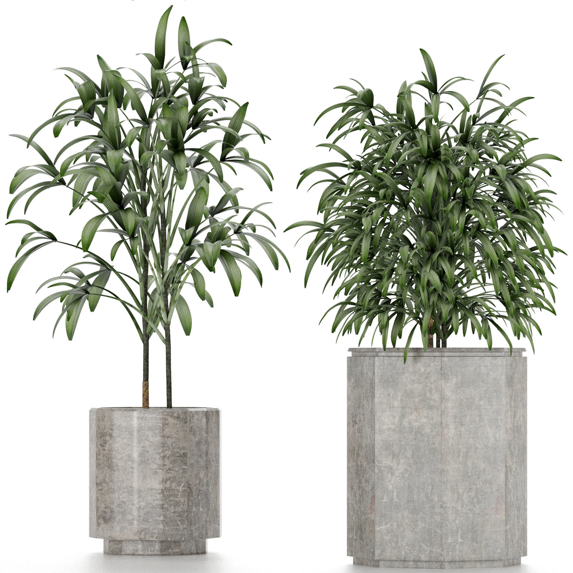 Plants Collection 09 3D model_5