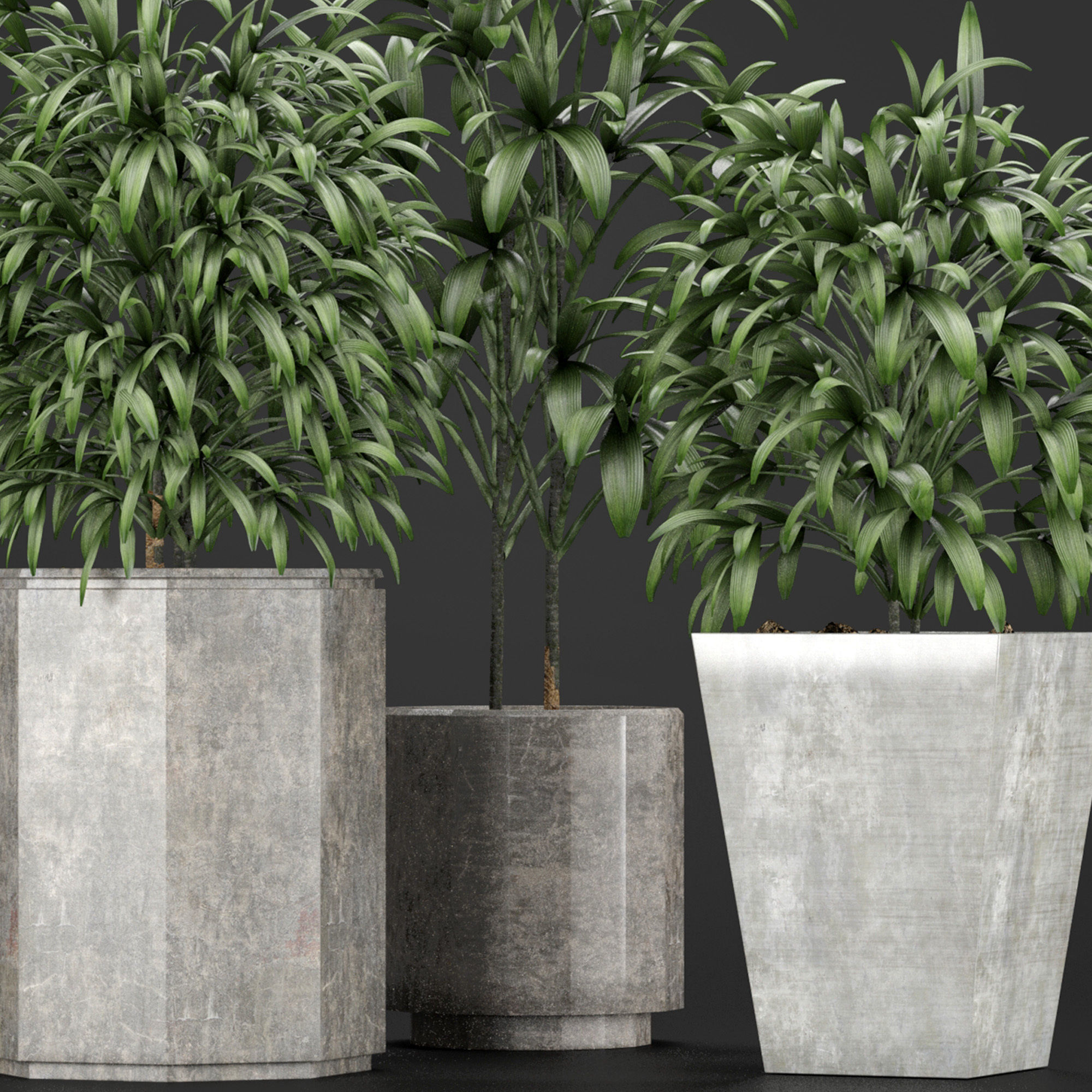 Plants Collection 09 3D model_1