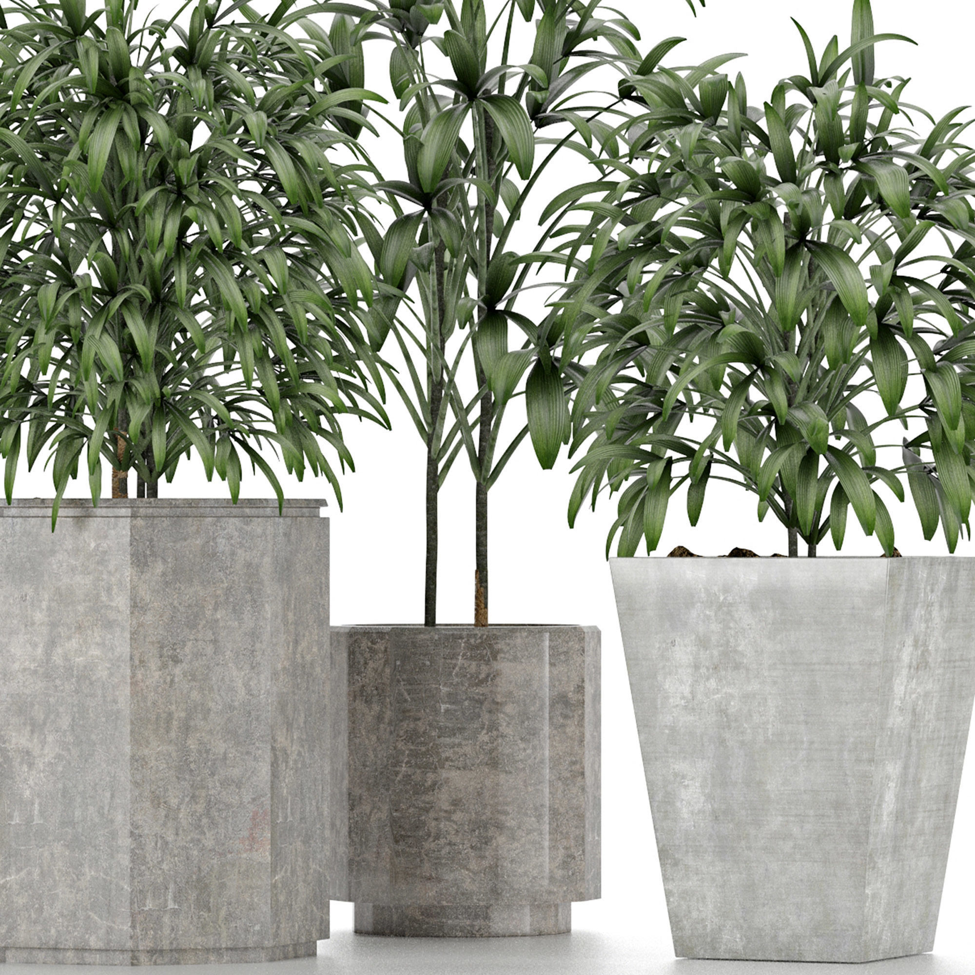 Plants Collection 09 3D model_3